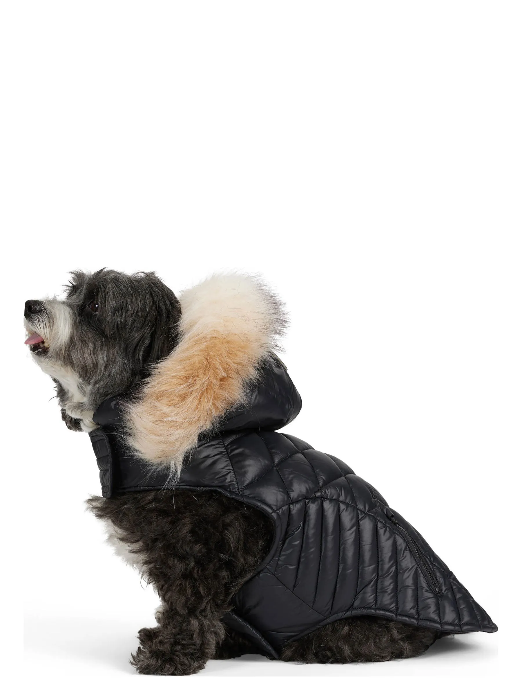 Zola Jacket for Dogs w/Faux Fur Trim